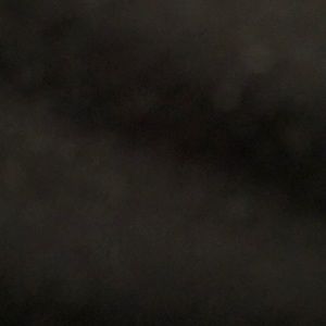 Meet your Posher, Katelyn